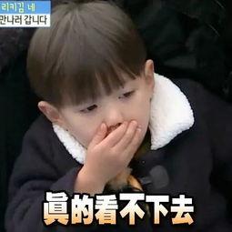 小狗仔每天在娱乐圈吃瓜小说